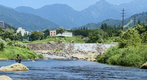 魚野川(湯沢地区)