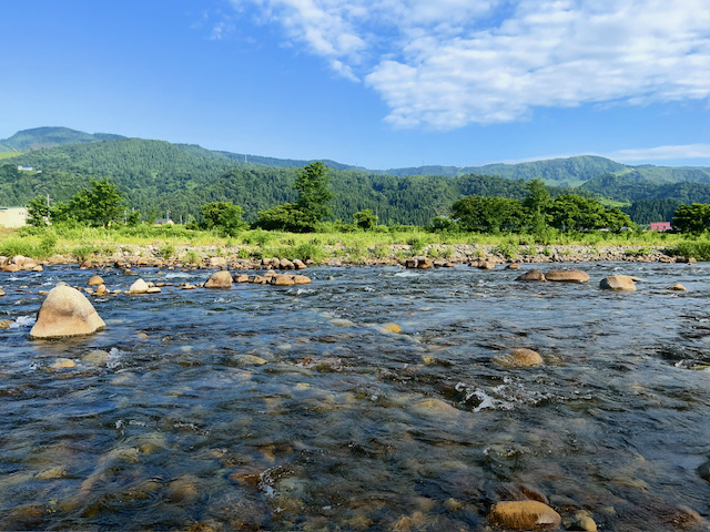 魚野川